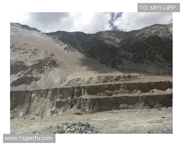 深度探讨杨强在CSGO中的成长与挑战之路