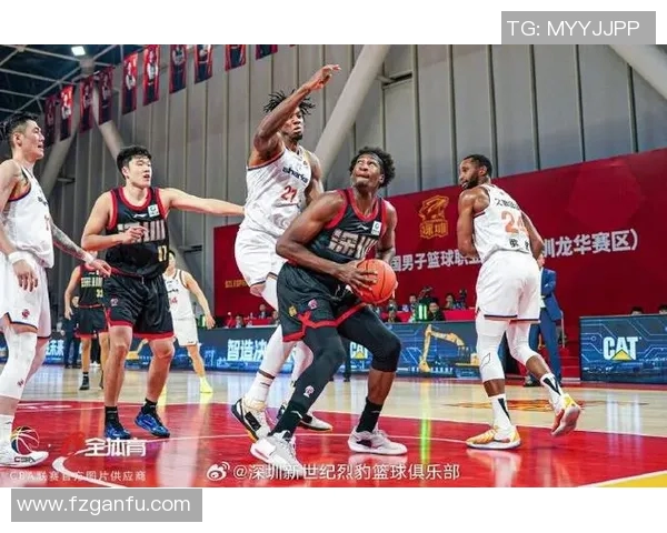 深圳篮球队实力大变革引发热议球迷期待新赛季精彩表现