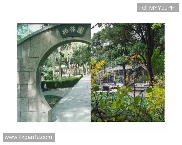 游泳运动的历史演变与未来发展趋势探析