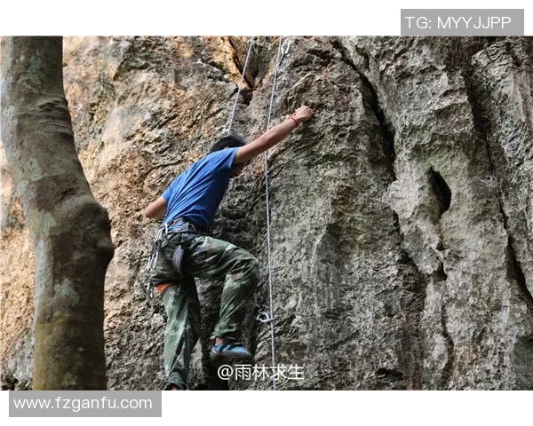 北京攀岩队在全国攀岩耐力排行榜中荣获第九名的佳绩引发关注